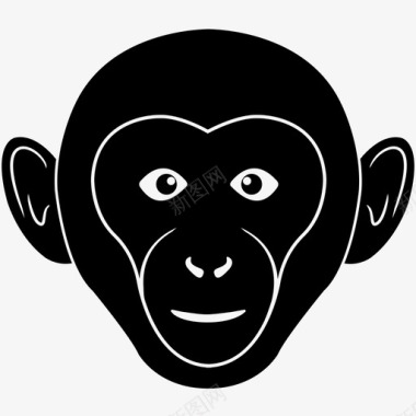 猴头猿猴脊索动物图标图标