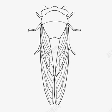 蝉虫子昆虫图标图标