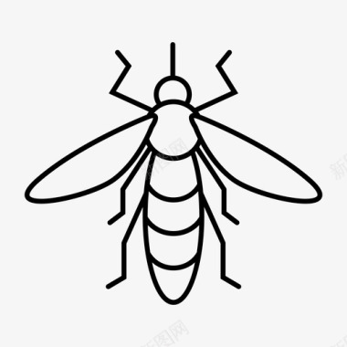 蚊子血虫子图标图标