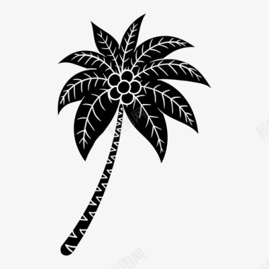 棕榈树椰子树图标图标