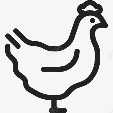 涮肉母鸡动物鸡图标图标