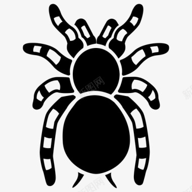 狼蛛蜘蛛纲毛茸茸的图标图标