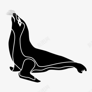 海狮食肉动物哺乳动物图标图标