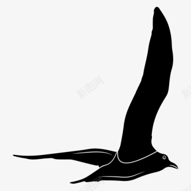 海鸥鸟类哥伦比亚科图标图标