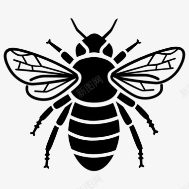 蜂蜜蜜蜂大黄蜂蜂巢图标图标