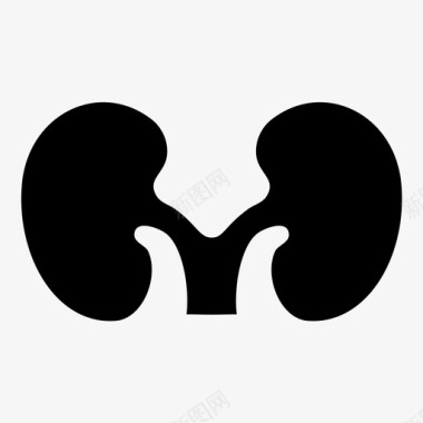 Google1-kidney (1)图标