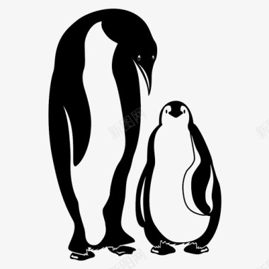 企鹅鸟类脊索动物图标图标