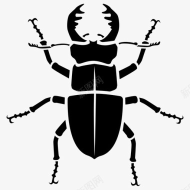 虫鹿甲虫虫斗图标图标