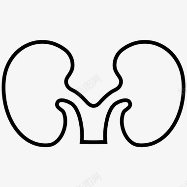 脾肾kidney图标