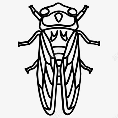 鐭虫煴蝉虫中国图标图标