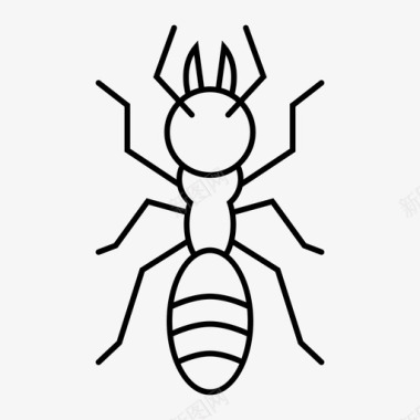 蚂蚁虫子昆虫图标图标