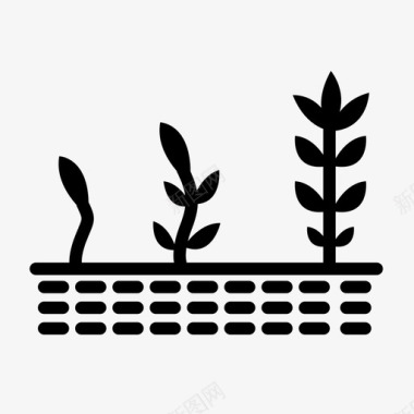 自然生长的植物生长植物生长种植图标图标