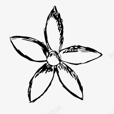 花卉手绘素描图标图标