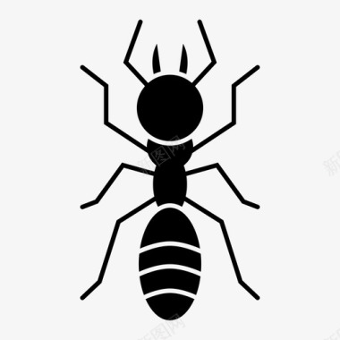 蚂蚁虫子昆虫图标图标