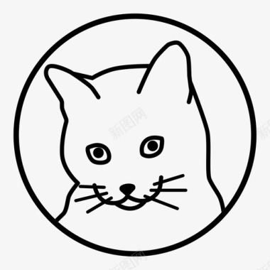 猫小猫宠物图标图标