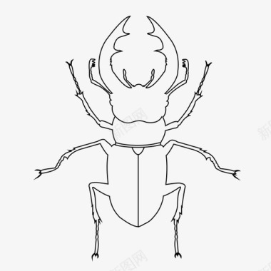 虫鹿甲虫虫昆虫图标图标
