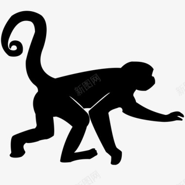 长尾巴猴子猴子动物尾巴图标图标