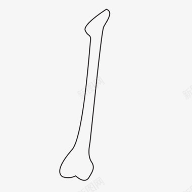 腿骨头干骨头图标图标