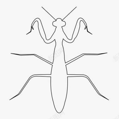 螳螂虫子昆虫图标图标
