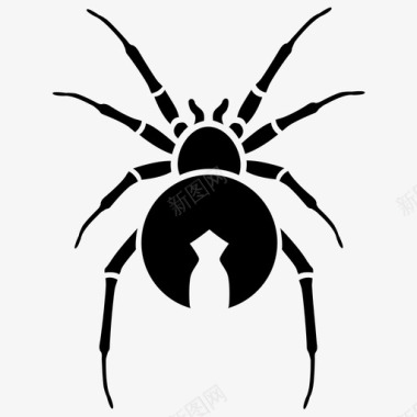 红背蜘蛛澳大利亚黑寡妇图标图标