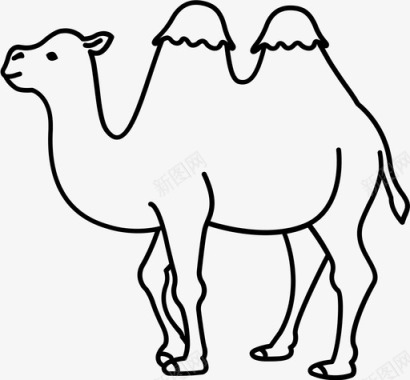 马戏骆驼双峰驼马戏团图标图标