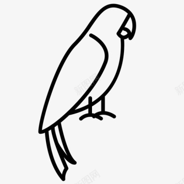 鹦鹉动物鸟图标图标