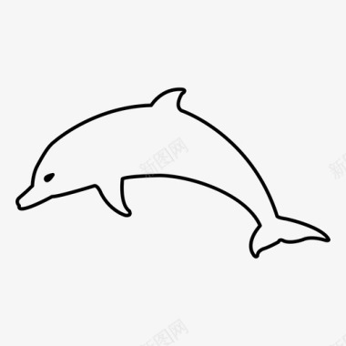 海豚动物哺乳动物图标图标