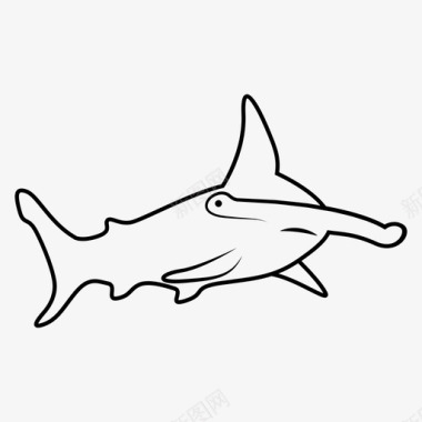 锤头鲨动物鱼图标图标
