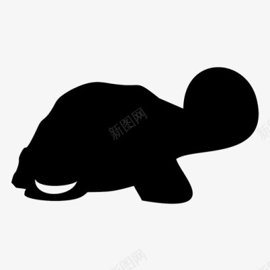 海龟动物海洋图标图标