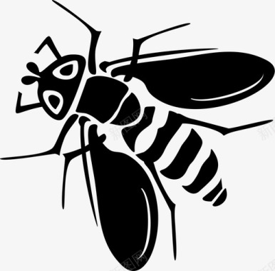 黄色蜜蜂蜜蜂昆虫图标图标