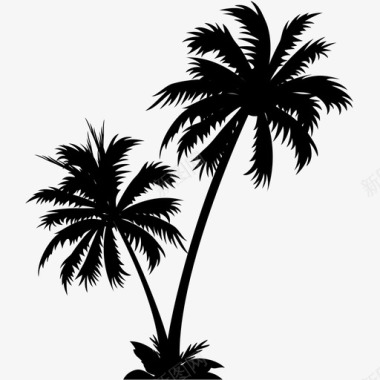 椰树图标