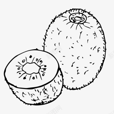 猕猴桃水果素描图标图标