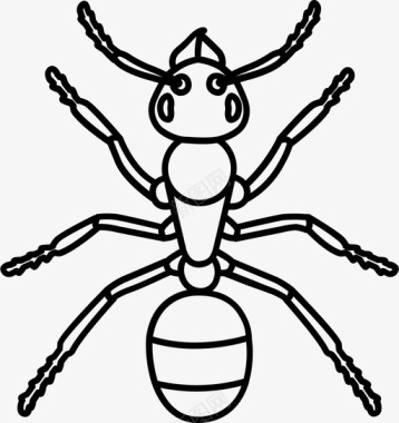 蚂蚁绿色昆虫图标图标