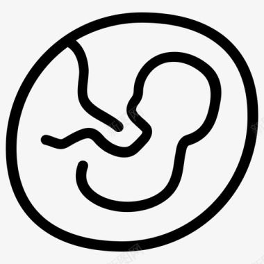 怀孕胎儿胚胎怀孕图标图标