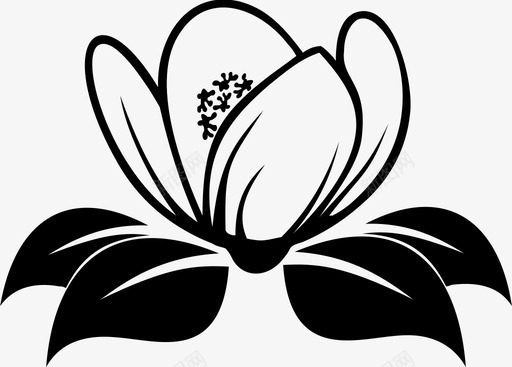 自然的茉莉花装饰花图标图标