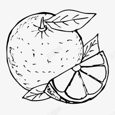 手绘水果图片橘子柑橘水果图标图标