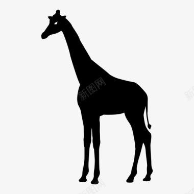 长颈鹿非洲动物自然图标图标