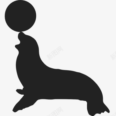 海豹球游泳图标图标