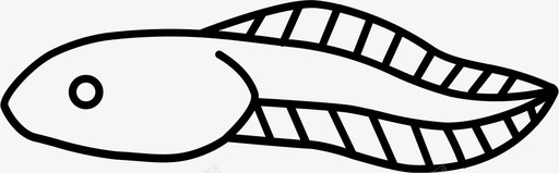 蝌蚪婴儿青蛙图标图标