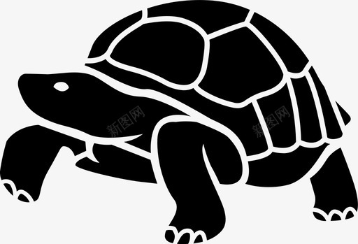 爬行动物加拉帕戈斯龟动物宠物图标图标