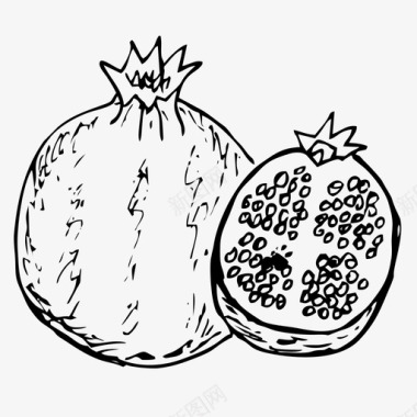 石榴水果手绘图标图标
