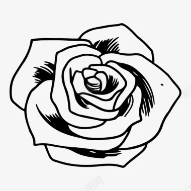 玫瑰夹道玫瑰花图标图标