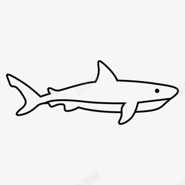 鲨鱼鱼大鲨鱼图标图标