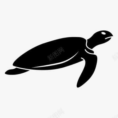 海滩图片模板下载海龟动物海滩图标图标