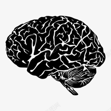 大脑解剖学人脑图标图标