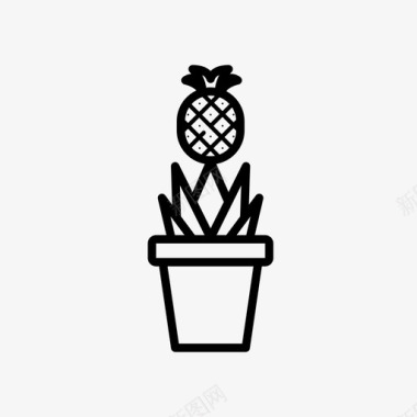 盆栽菠萝植物图标图标