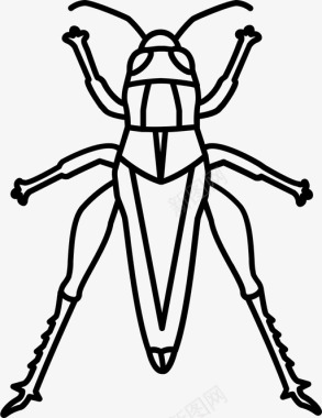 身体的轮廓蚱蜢虫子蟋蟀图标图标
