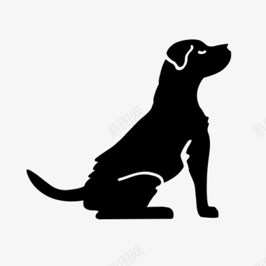 坐着的狗好的拉布拉多图标图标