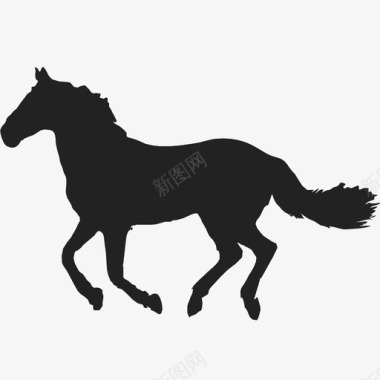 马的动物宠物奔跑图标图标