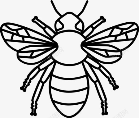 蜜蜂大黄蜂嗡嗡声图标图标